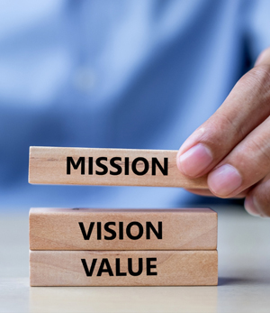 Vision